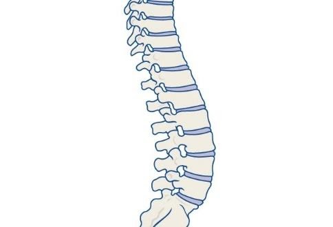 Common Causes Of Back Pain & How Its Treated