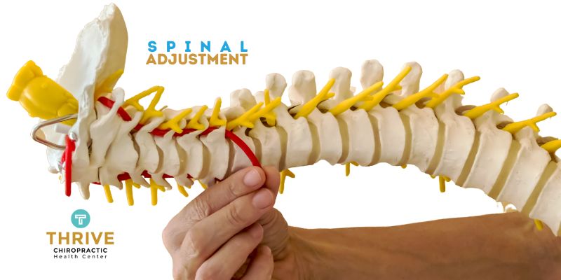 Spinal Adjustments Spinal Adjustments